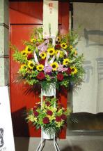 �ǥ⥤�᡼��