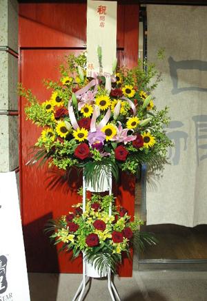 �ʽˡ˥�����ɡʣ��ʡ�