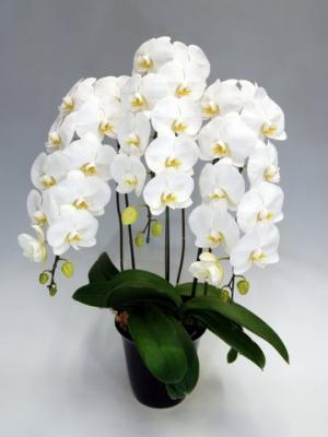 ���طϸ�ĳ����3��Ω�ơ���