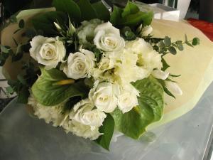 �ۥ磻�ȥʥ���(spring��autumun)