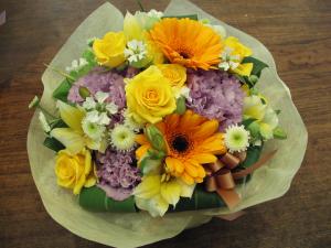 �������ɥ�������������������spring����