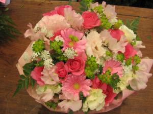 �����꡼�ԥ󥯡�����������������winter)