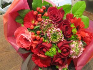 �����ǥ�������������������(winter��spring)