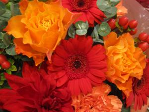 ��������꡼�֥���������������������autumun )