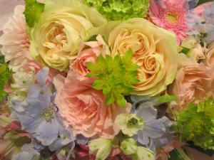 ���ǥ󡡡�����������������(spring)