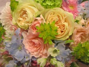 エデン　　　　　　　　　　(spring)/中央区八丁堀・京橋周辺での送別会の花束や胡蝶蘭の贈り物はフローリストHANACHO（花長）へ。ご予算に応じます。