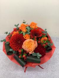 ¥Ç¥â¥¤¥á¡¼¥¸